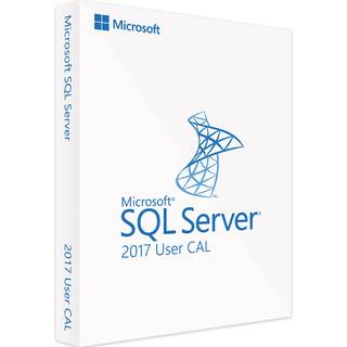 Microsoft SQL Server 2017 - 1 User CAL - Lizenz - Auditsicher - Sofort-Download | Software-Dealz.de