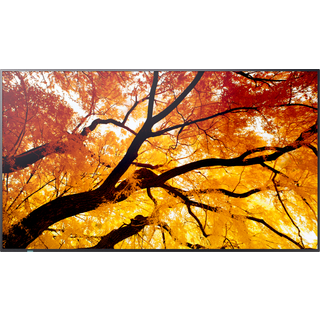 Sharp MultiSync PN-M752 189,2 cm (74.5") LED 550 cd/m² 4K Ultra HD Sort 24/7