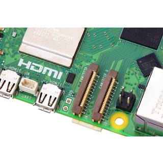 Raspberry Pi 5 - 1 GB.