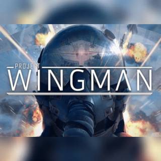 Project Wingman (PC) Steam Key - EU