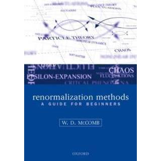 Renormalization Methods
