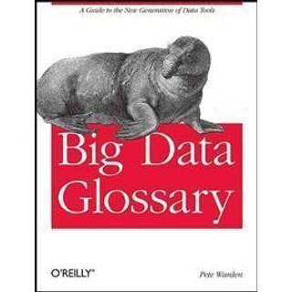 Big Data Glossary