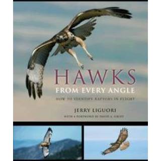 Hawks from Every Angle