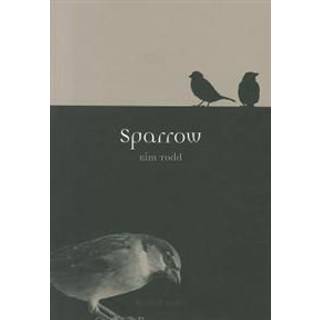 Sparrow