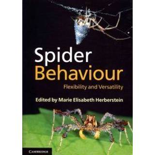 Spider Behaviour