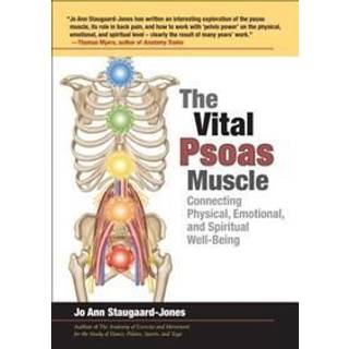 The Vital Psoas Muscle