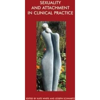 Sexuality and Attachment in Clinical Practice