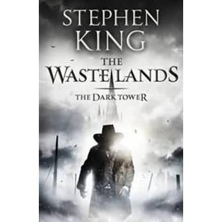 Stephen King - The Dark Tower III: The Waste Lands: (Volume 3)