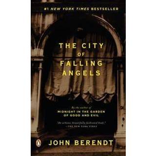The City of Falling Angels