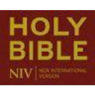 NIV Popular Burgundy Hardback Bible