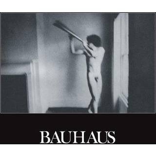 Bauhaus - In The Flat Field