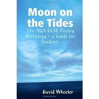 Moon on the Tides