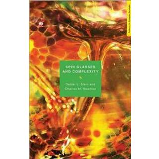 Spin Glasses and Complexity