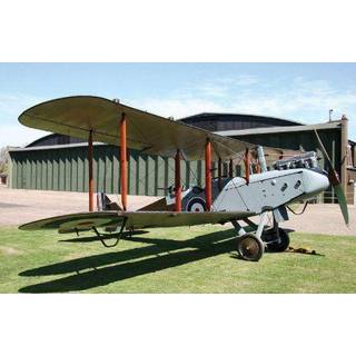 DH9: From Ruin to Restoration