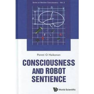 Consciousness And Robot Sentience