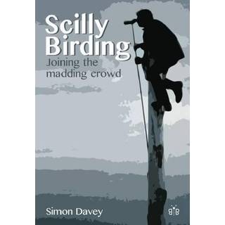 Scilly Birding