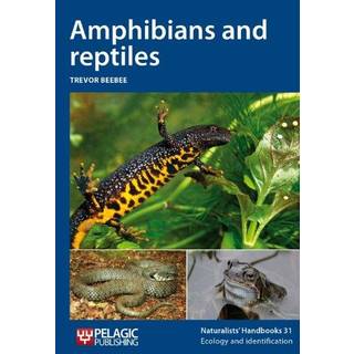 Amphibians and reptiles
