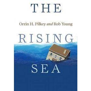 The Rising Sea