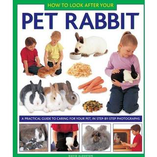 How to Look After Your Pet Rabbit