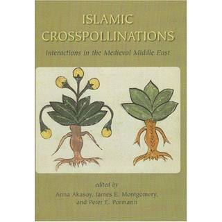 Islamic Crosspollinations
