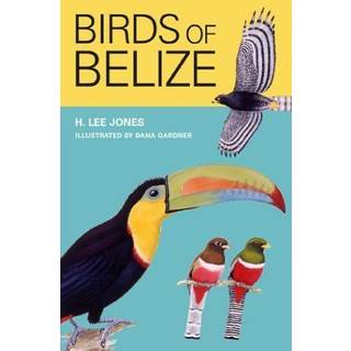 Birds of Belize
