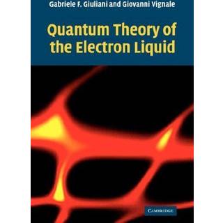 Quantum Theory of the Electron Liquid
