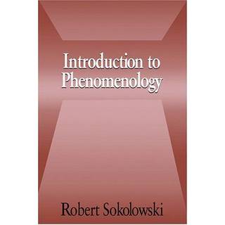 Introduction to Phenomenology