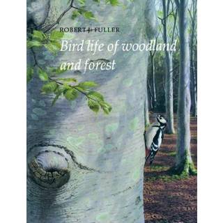 Bird Life of Woodland and Forest