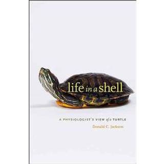 Life in a Shell