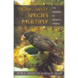 How and Why Species Multiply