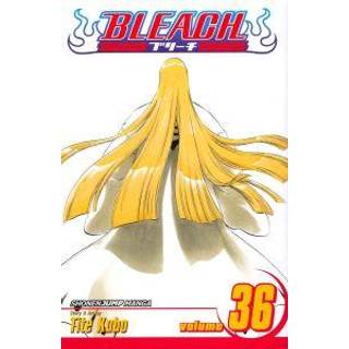 Bleach, Vol. 36
