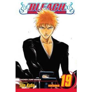 Bleach, Vol. 19