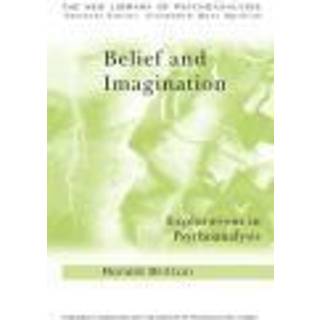 Belief and Imagination