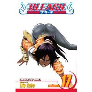 Bleach, Vol. 17