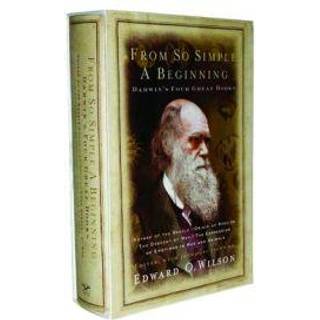 From So Simple a Beginning