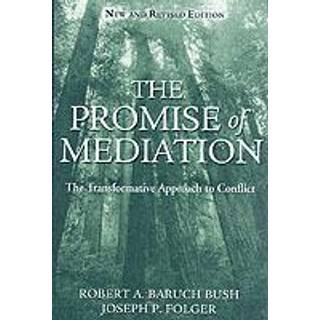 The Promise of Mediation