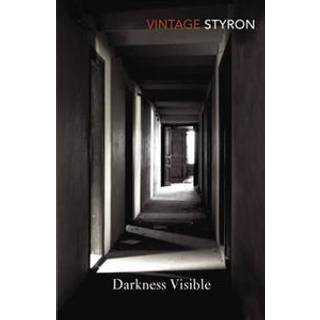 Darkness Visible