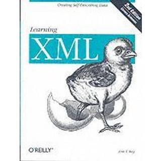 Learning XML 2e