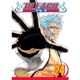 Bleach, Vol. 24