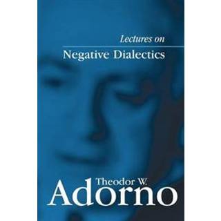 Lectures on Negative Dialectics