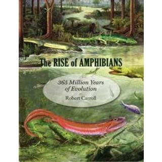 The Rise of Amphibians