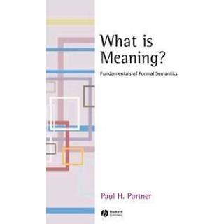 What is Meaning?