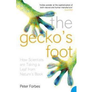 The Gecko’s Foot