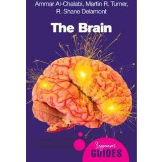 The Brain