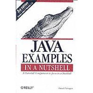 Java Examples in a Nutshell