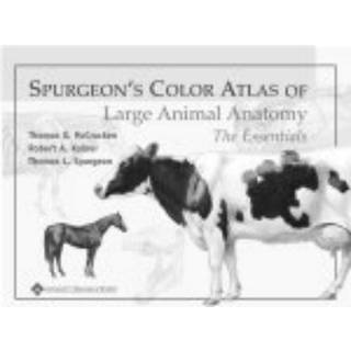 Spurgeon's Color Atlas of Large Animal Anatomy