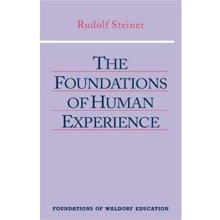 The Foundations of Human Experience