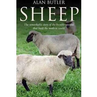 Sheep – The remarkable story of the humble animal that built the modern world.