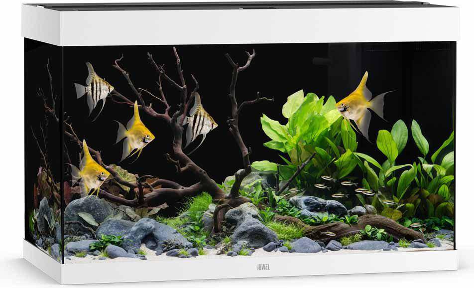 Aquarium Juwel Rio 290 LED Aquarium Weiß