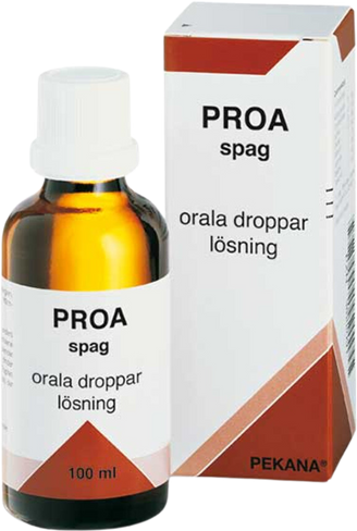 Proa